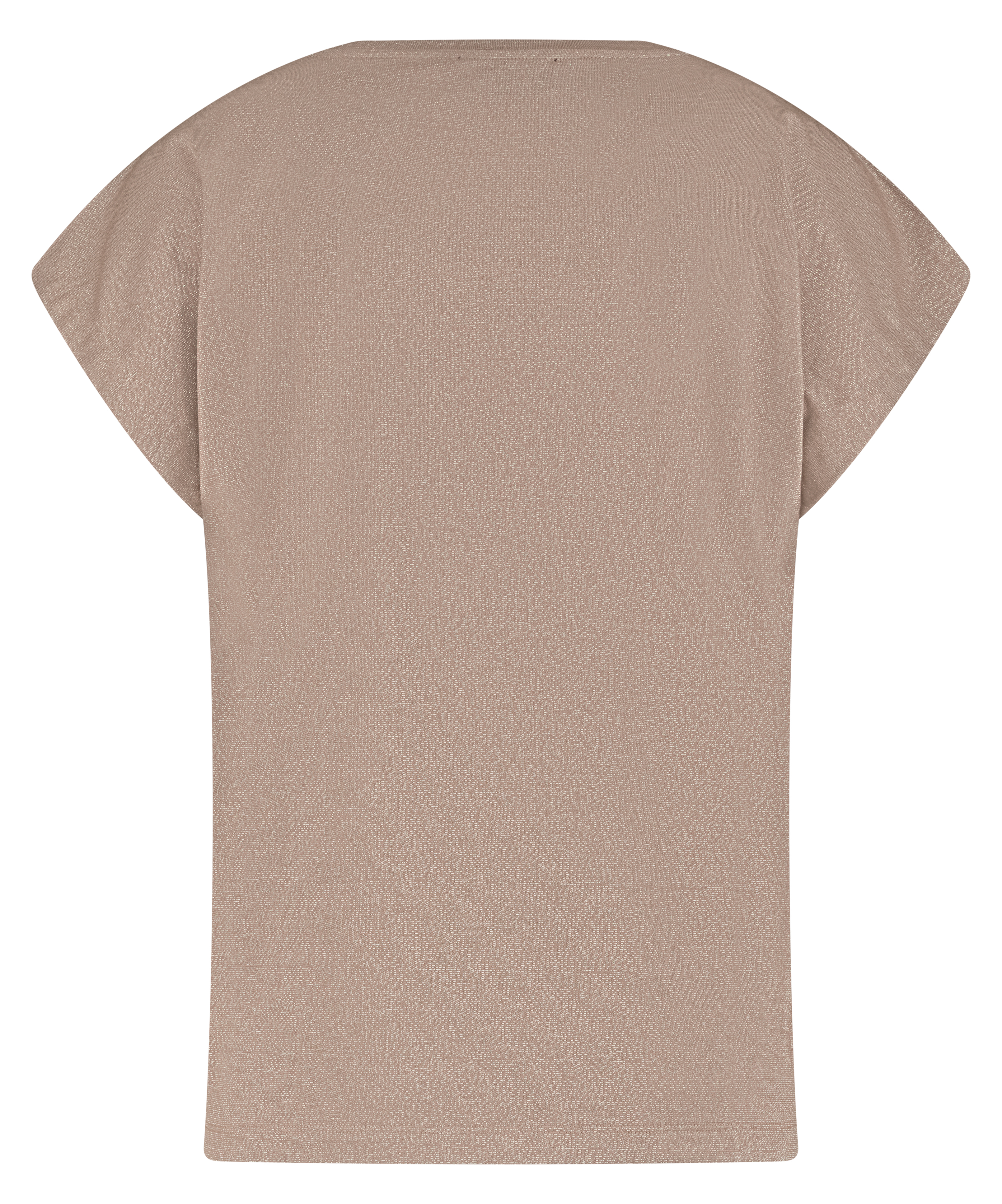T'SHIRT KATHY CHOCOLAT L21.508.2639 VAN LADY DAY
